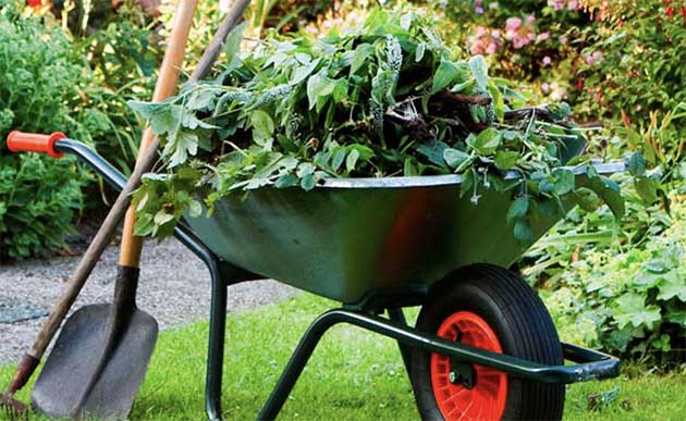 How to keep your garden clean & healthy?