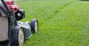Mowing lawn tips